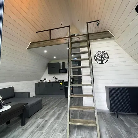 Domek alpejski серце карпат Skole