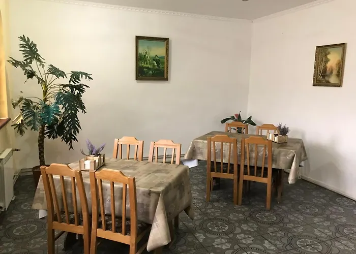 серце карпат * Skole