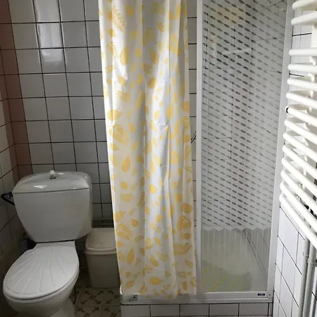 Шале серце карпат *